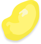 Kemi